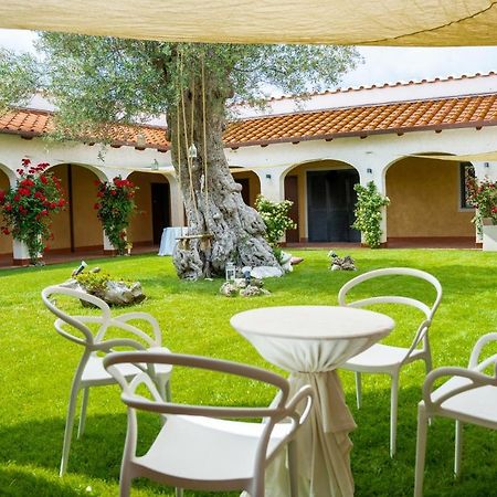 Tenuta Amalthea Villa Sessa Aurunca Exterior photo